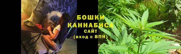 гидра Осинники