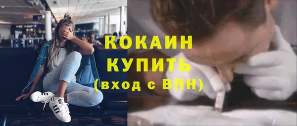 гидра Осинники