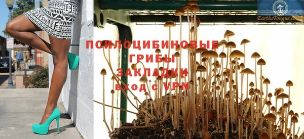 гашиш Осташков