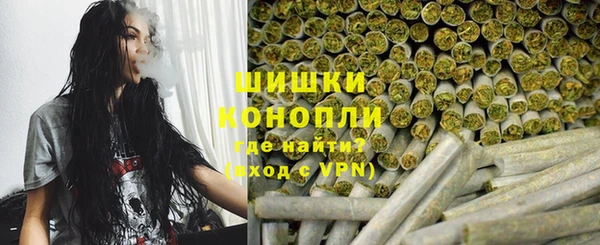 гидра Осинники