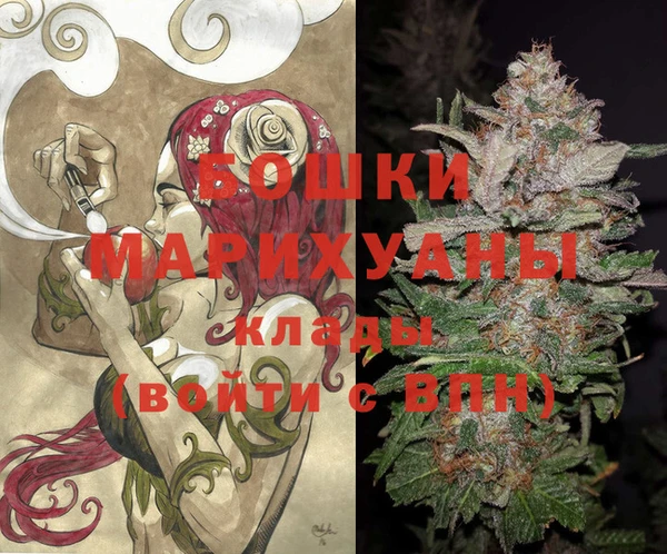 гидра Осинники